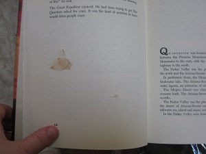 Please say this is just a blurry cat stamp.